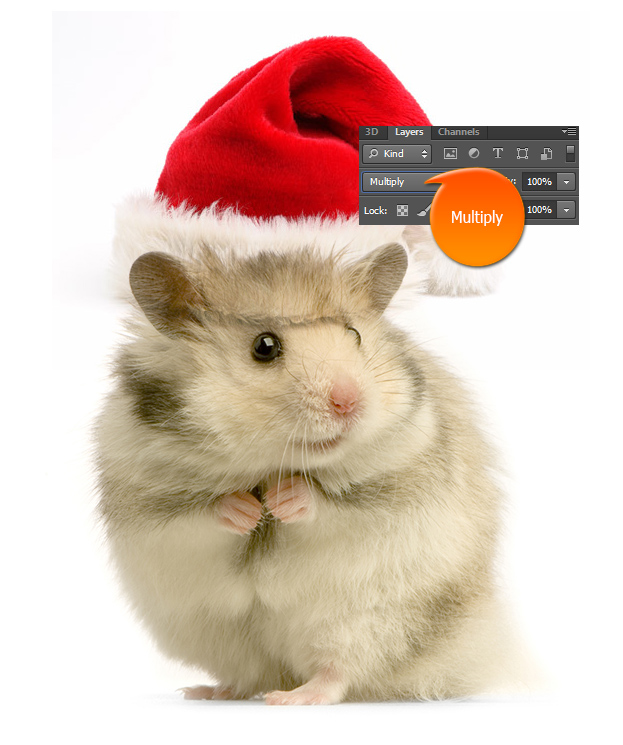 create-a-funny-christmas-picture-with-animals-in-photshop